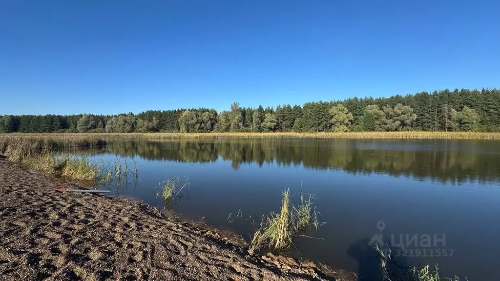Участок в Татарстан, Лаишевский район, Нармонское с/пос, Тетеево Луч ... - Фото 1