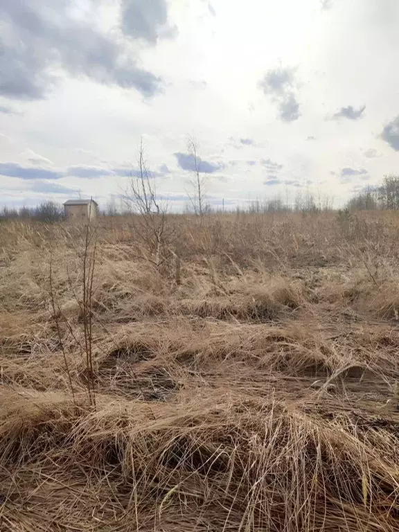 Участок в Нижегородская область, Арзамас городской округ, с. Хватовка, ... - Фото 0