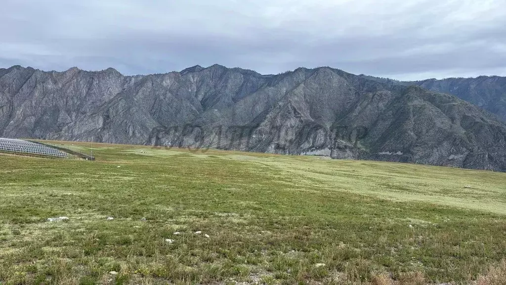 Участок в Алтай, Онгудайский район, с. Иня  (100.0 сот.) - Фото 1