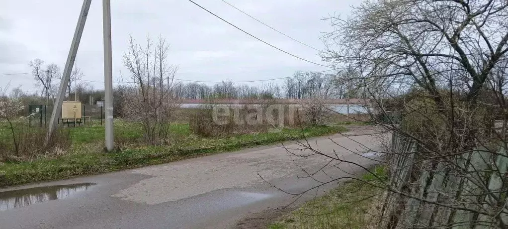 Участок в Калининградская область, Зеленоградский муниципальный округ, ... - Фото 0