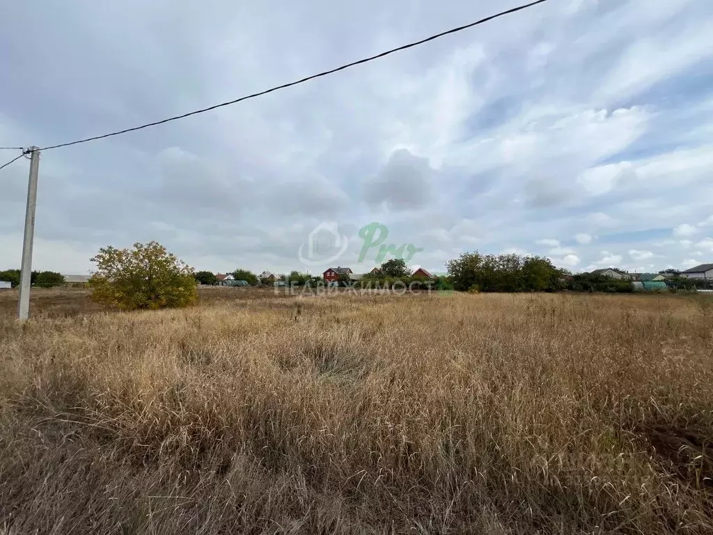 Участок в Краснодарский край, Ейский район, Александровское с/пос, с. ... - Фото 1