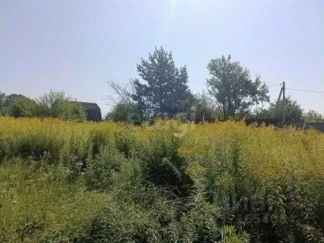 Участок в Брянская область, Брянский район, Добрунское с/пос, д. ... - Фото 1