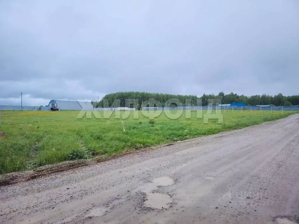 Участок в Томская область, Томский район, с. Корнилово, Красная горка ... - Фото 0