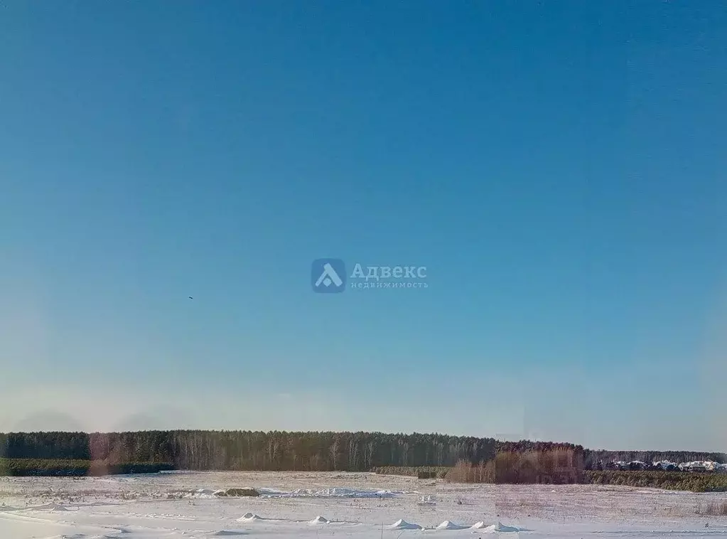 Участок в Тюменская область, Тюменский район, д. Малиновка ул. Южная ... - Фото 0