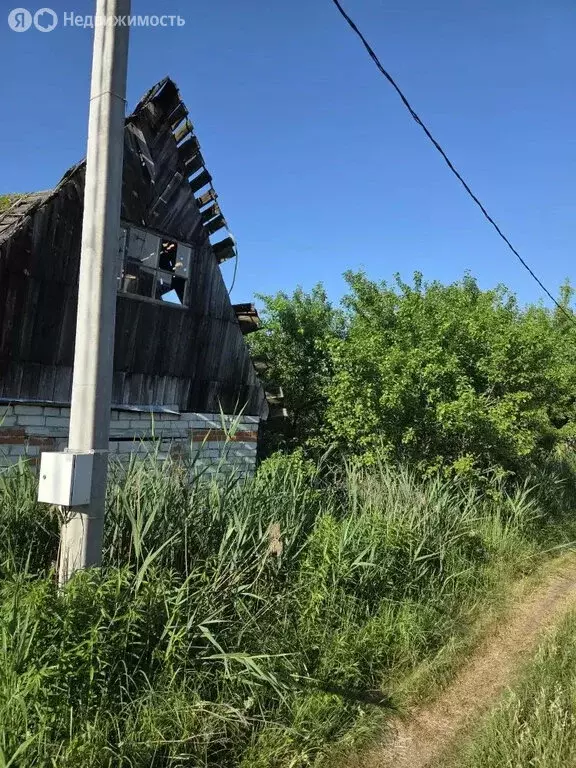 Участок в Сельцо, СДТ № 7, 281 (5.83 м) - Фото 2