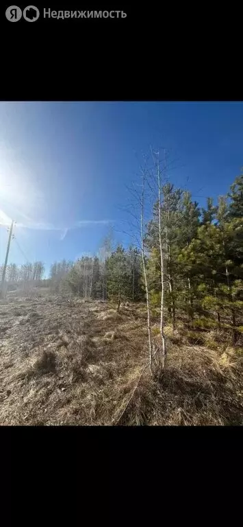 Участок в Миасский городской округ, село Черновское, Боровая улица (15 ... - Фото 1