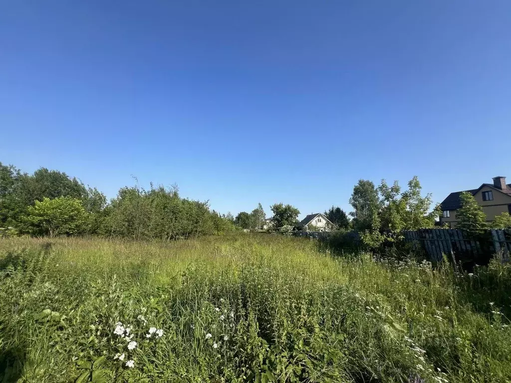 Участок, 15 сот., поселения (ижс) - Фото 0