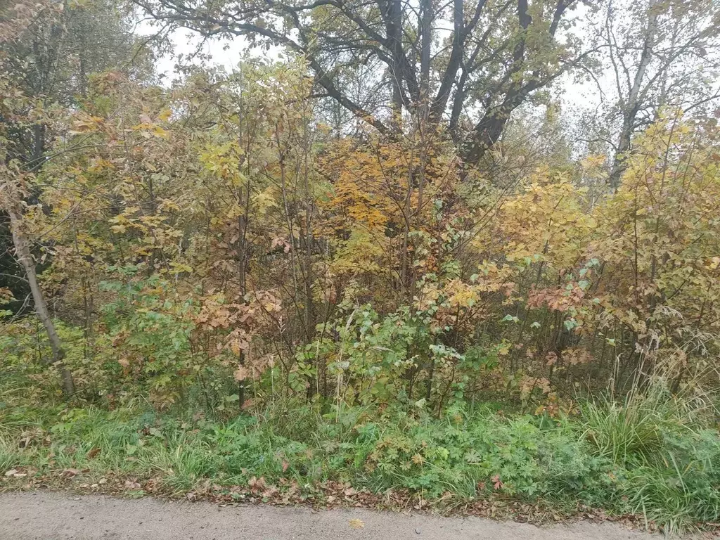 Участок в Московская область, Мытищи городской округ, д. Голенищево ... - Фото 1