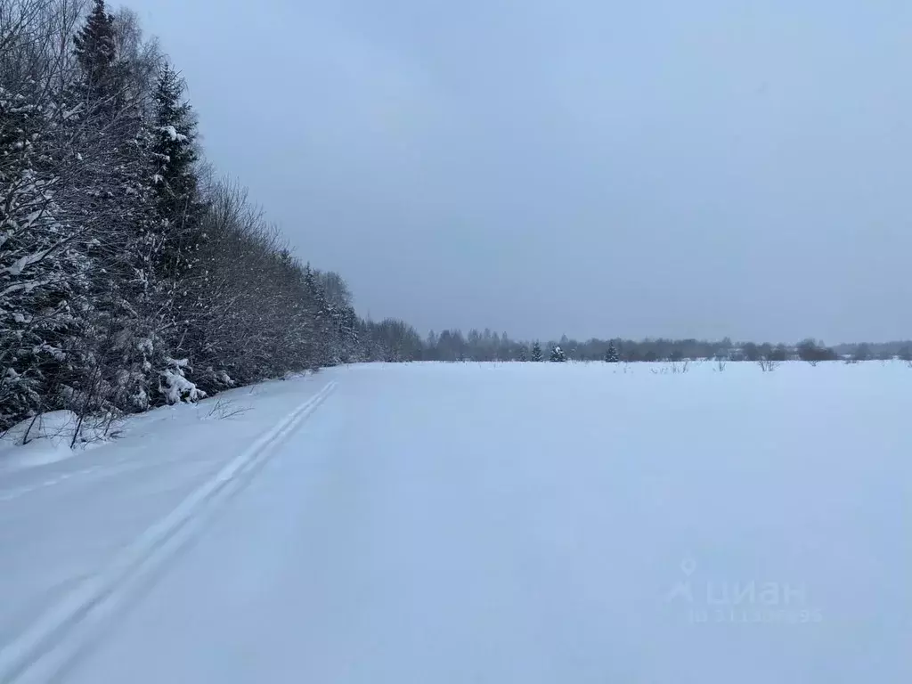 Участок в Московская область, Одинцовский городской округ, д. Торхово ... - Фото 0