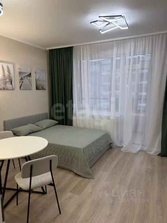 Студия Санкт-Петербург пос. Шушары, ул. Нины Петровой, 7к1 (29.0 м) - Фото 1