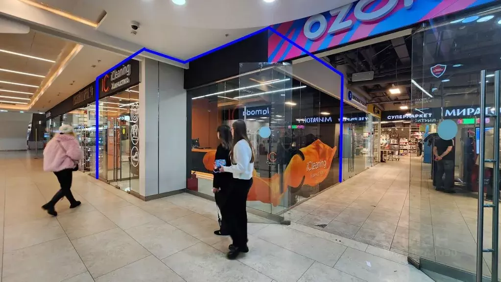 Помещение свободного назначения в Москва наб. Пресненская, 10с2 (23 м) - Фото 2