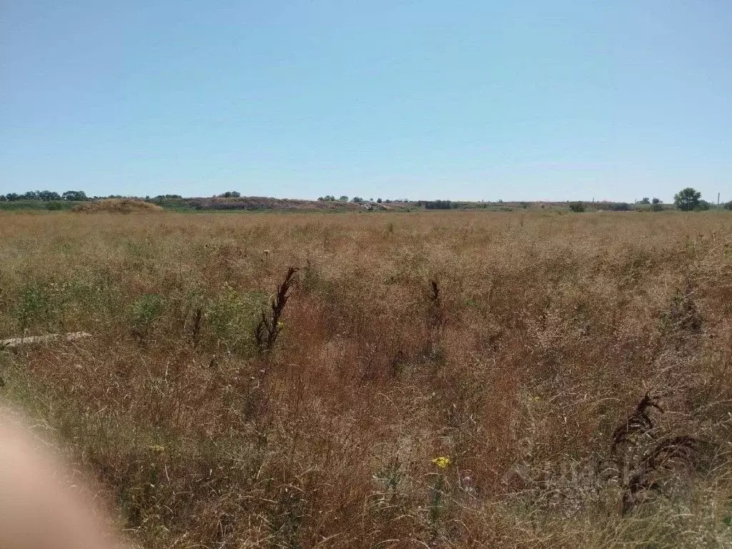 Участок в Краснодарский край, Северское с/пос, Родина СДТ 162 (6.0 ... - Фото 1