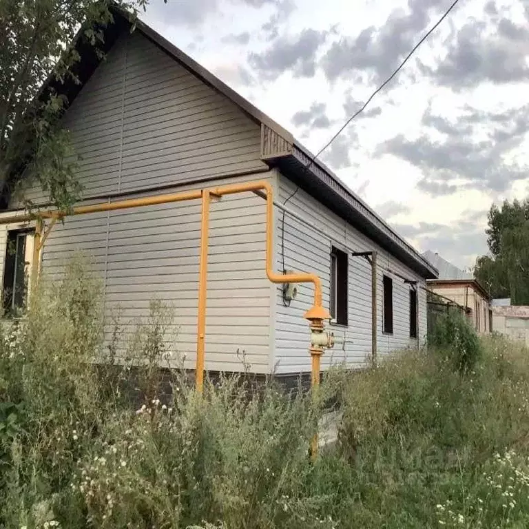 Дом в Воронежская область, Борисоглебский городской округ, с. Чигорак ... - Фото 1