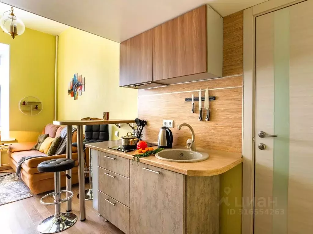 Студия Санкт-Петербург Загородный просп., 9 (28.0 м) - Фото 0