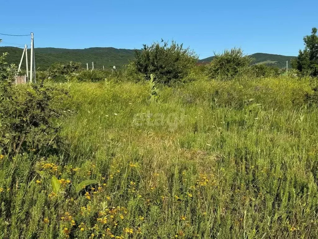 Участок в Краснодарский край, Новороссийск городской округ, ... - Фото 1