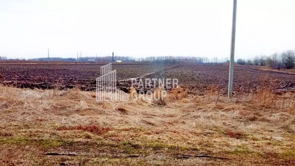 Участок в Тульская область, Ясногорский район, Ревякинское ... - Фото 1