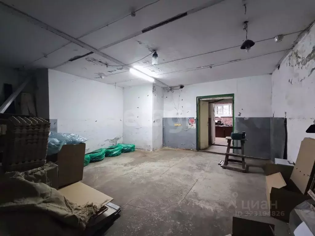 Помещение свободного назначения в Новосибирская область, Новосибирский ... - Фото 1