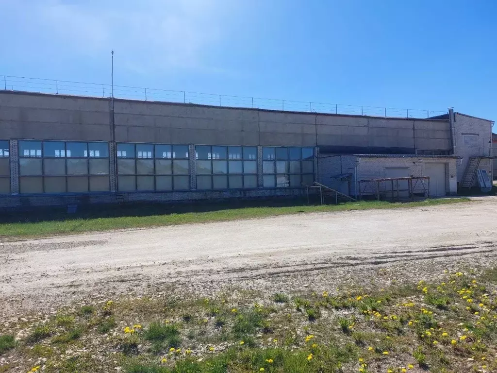 Помещение свободного назначения в Ленинградская область, Гатчинский ... - Фото 2