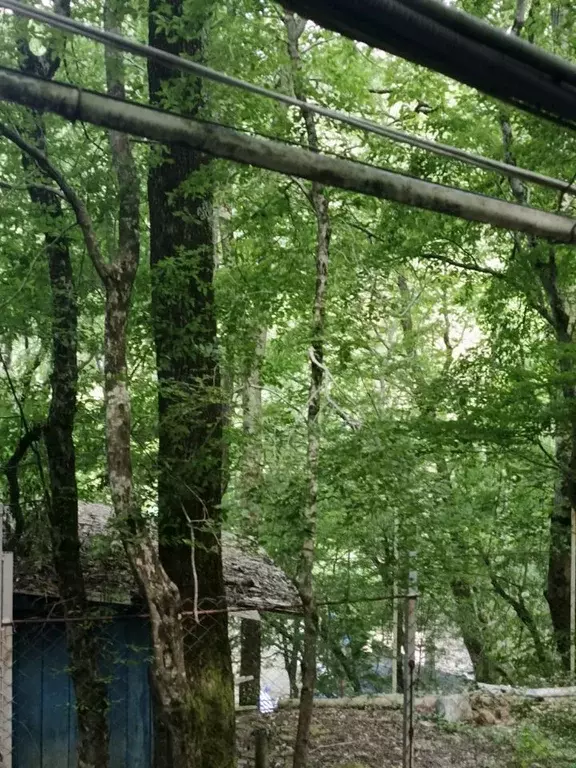 Дом в Краснодарский край, Геленджик городской округ, Бетта хут., Дом ... - Фото 1