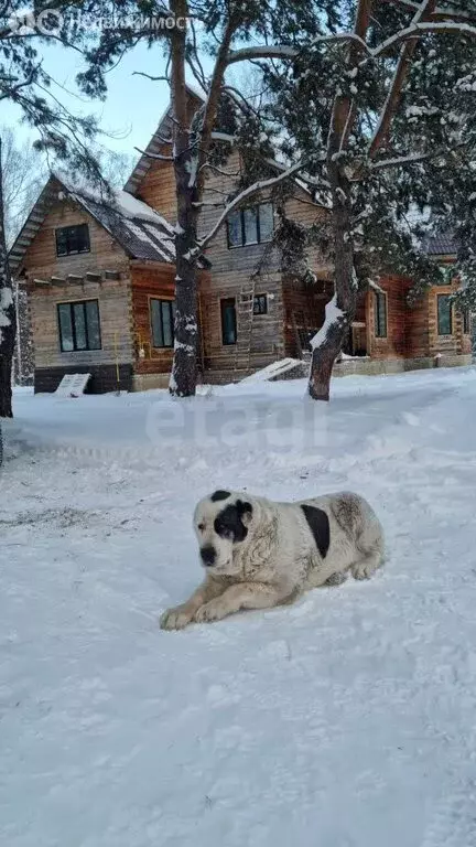 Дом в село Колташево, Берёзовая улица (200 м) - Фото 2