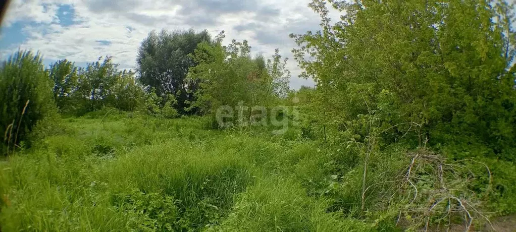 Участок в Нижегородская область, Кстовский муниципальный округ  (12.0 ... - Фото 0