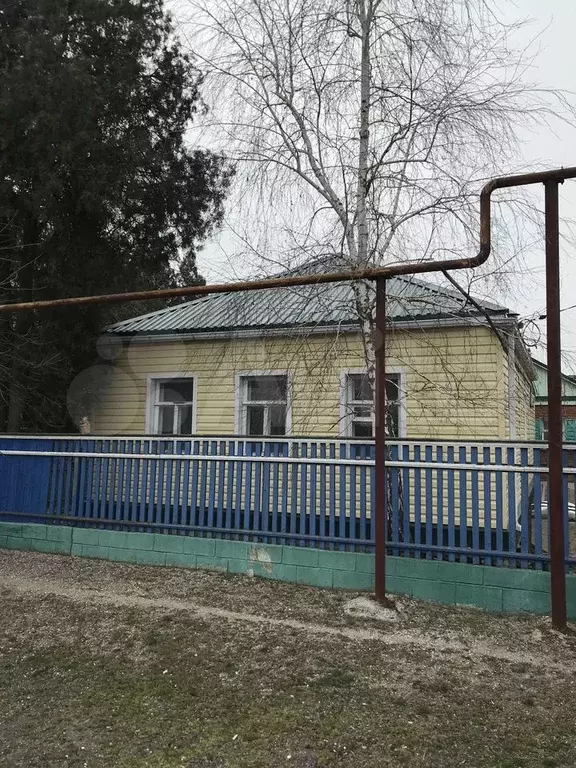 Дом 60 м на участке 17,7 сот. - Фото 1