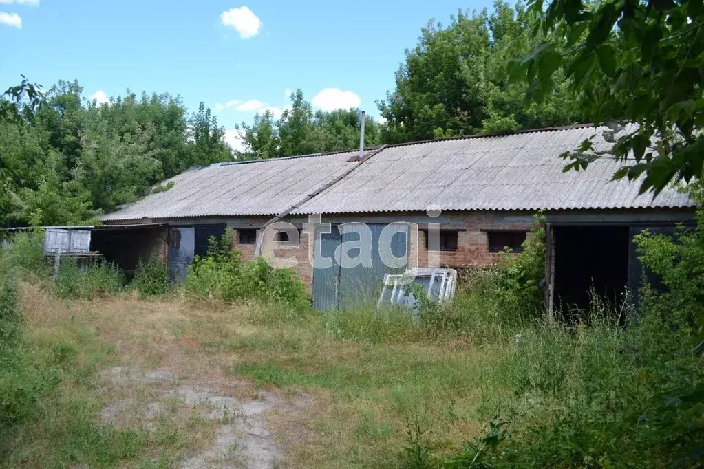 Помещение свободного назначения в Белгородская область, Валуйский ... - Фото 1