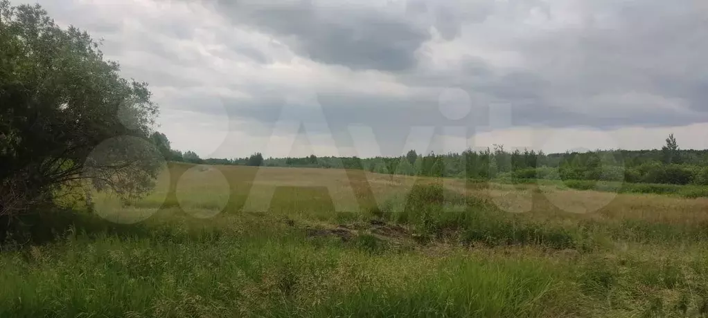 Участок 4 га (СНТ, ДНП) - Фото 1