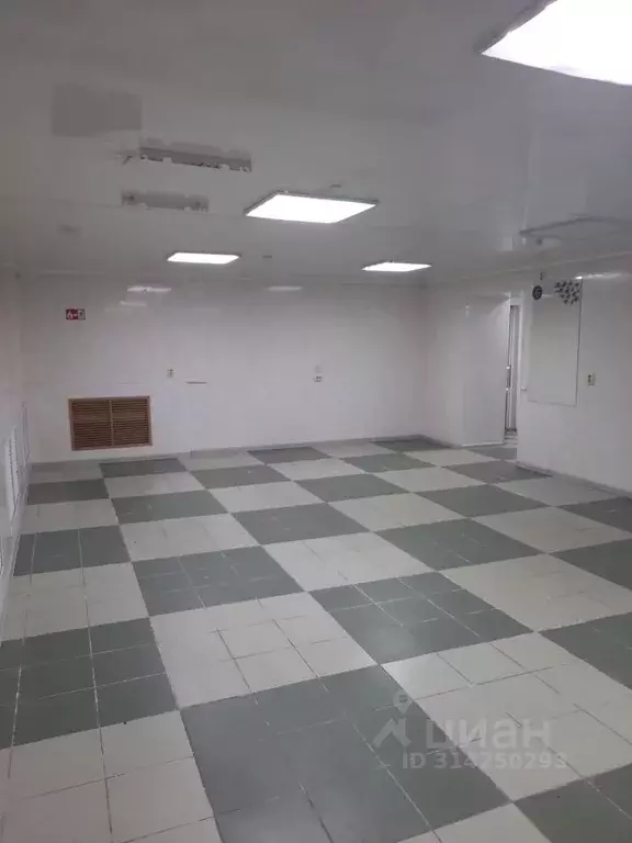 Помещение свободного назначения в Татарстан, Казань ул. Восстания, 21 ... - Фото 2