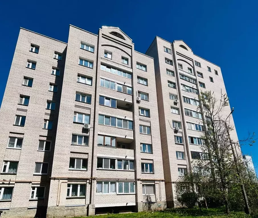 2-к кв. Псковская область, Псков Юбилейная ул., 89А (51.0 м) - Фото 2