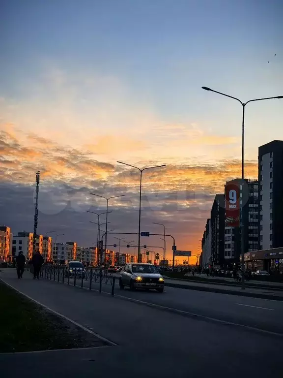 Квартира-студия, 24,9 м, 1/4 эт. - Фото 0