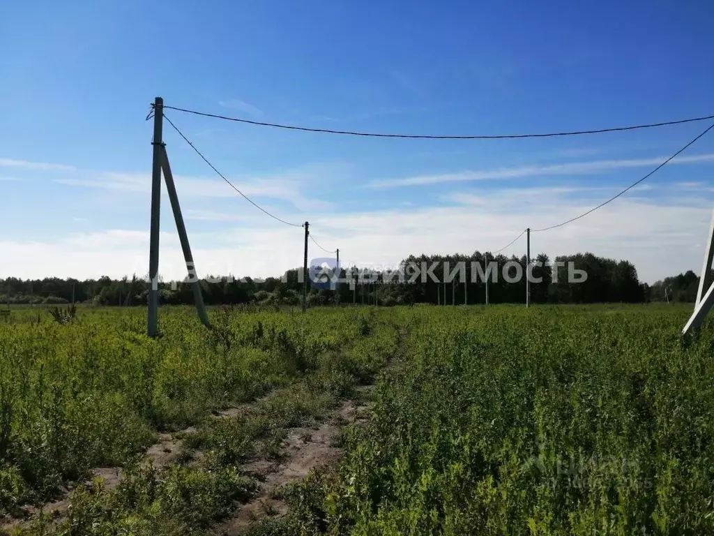 Участок в Тюменская область, Тюменский район, с. Червишево  (8.36 ... - Фото 1