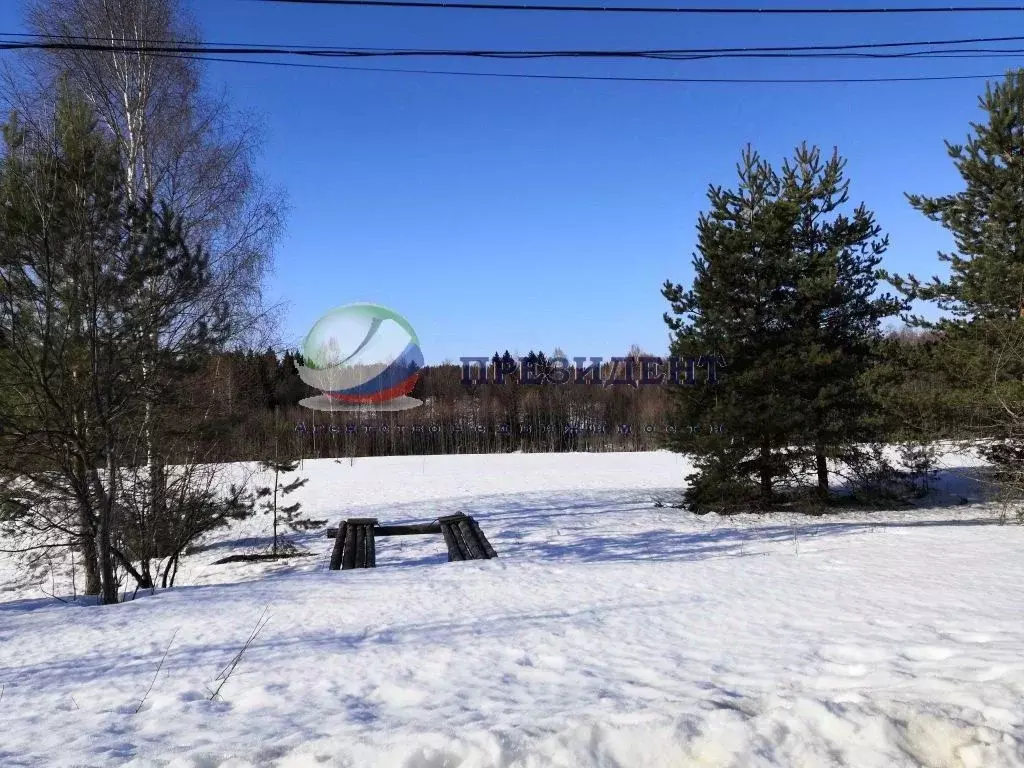 Участок в Нижегородская область, Воротынский городской округ, с. ... - Фото 1