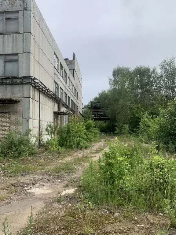 Производственное помещение в Московская область, Воскресенск Заводская ... - Фото 1