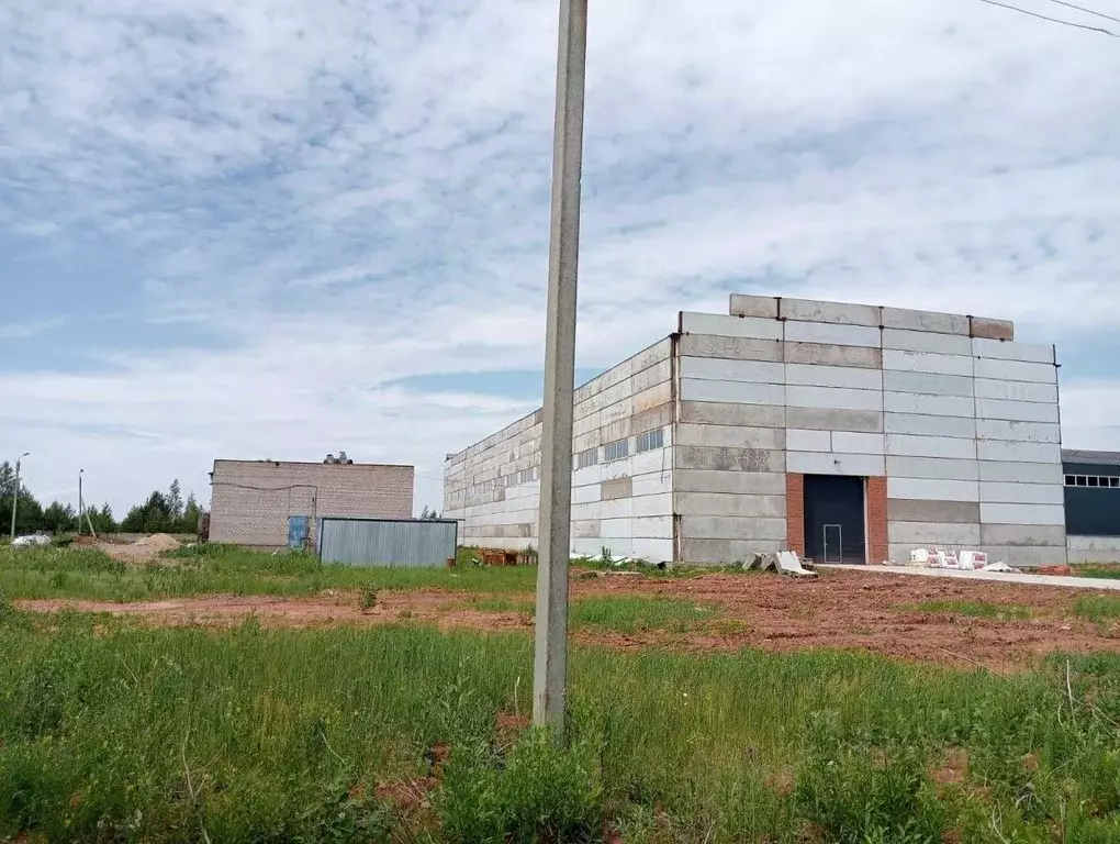 Производственное помещение в Татарстан, Елабуга муниципальное ... - Фото 2
