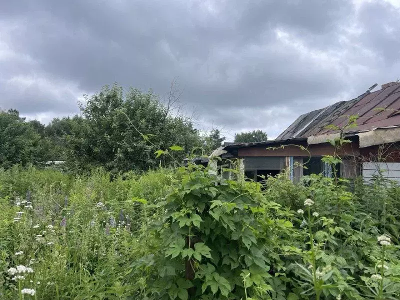 Участок в Новосибирская область, Новосибирск Золотая Горка СНТ, аллея ... - Фото 2