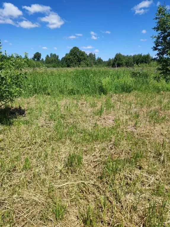 Участок в Нижегородская область, Семеновский городской округ, д. ... - Фото 1