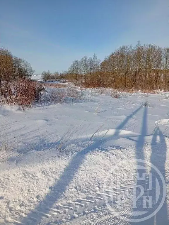 Участок в Ленинградская область, Лужский район, Дзержинское с/пос, ... - Фото 2