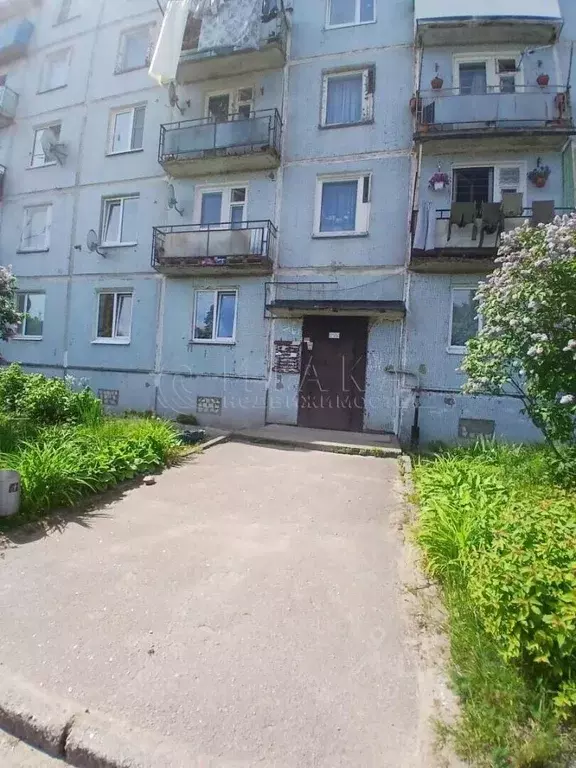 1-к кв. Ленинградская область, Выборгский район, Приморское городское ... - Фото 1