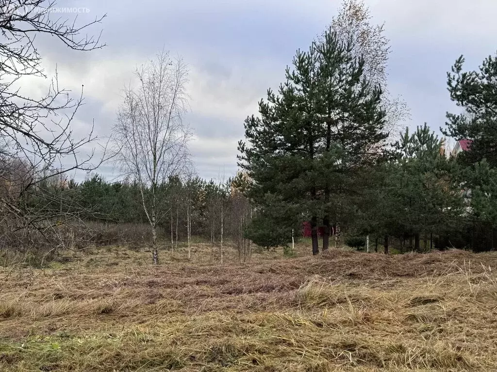 Участок в Всеволожский район, Колтушское городское поселение, деревня ... - Фото 1