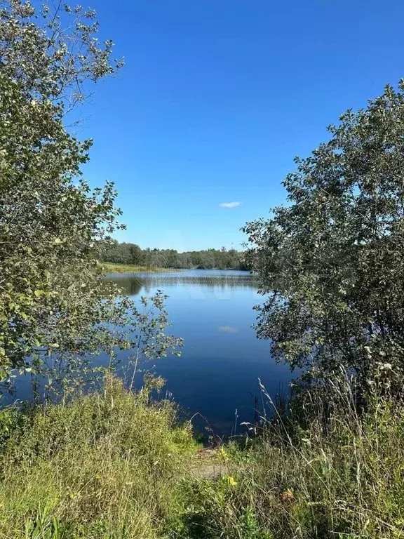 Участок 6 га (СНТ, ДНП) - Фото 1