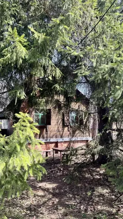 Дом в Новосибирская область, Новосибирский район, Кудряшовский ... - Фото 1
