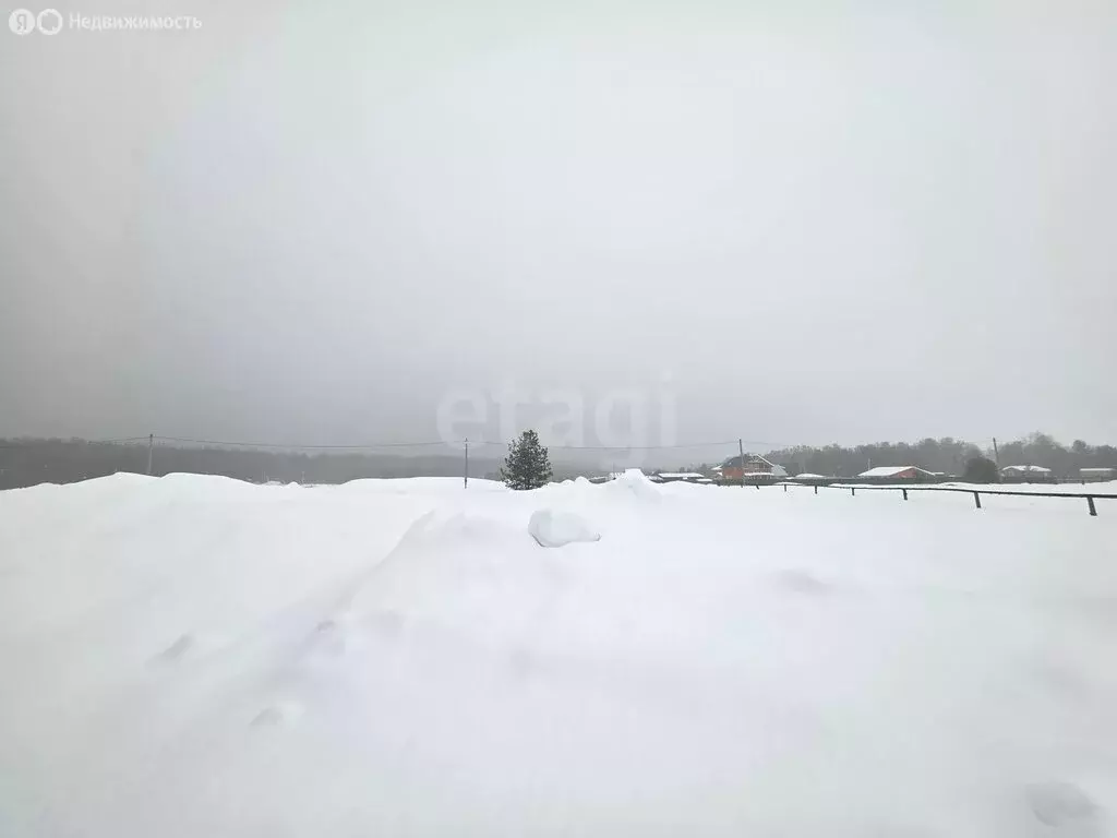 Участок в Владимирская область, Петушинский муниципальный округ, ... - Фото 2