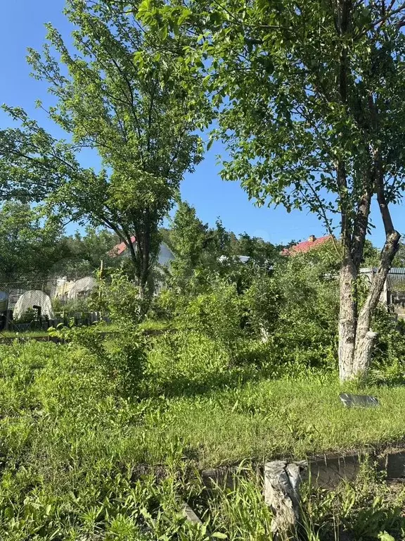 Дом 36 м на участке 6 сот. - Фото 1
