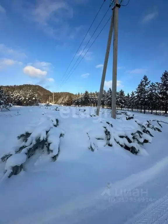 Участок в Красноярский край, Дивногорск городской округ, пос. Манский  ... - Фото 0