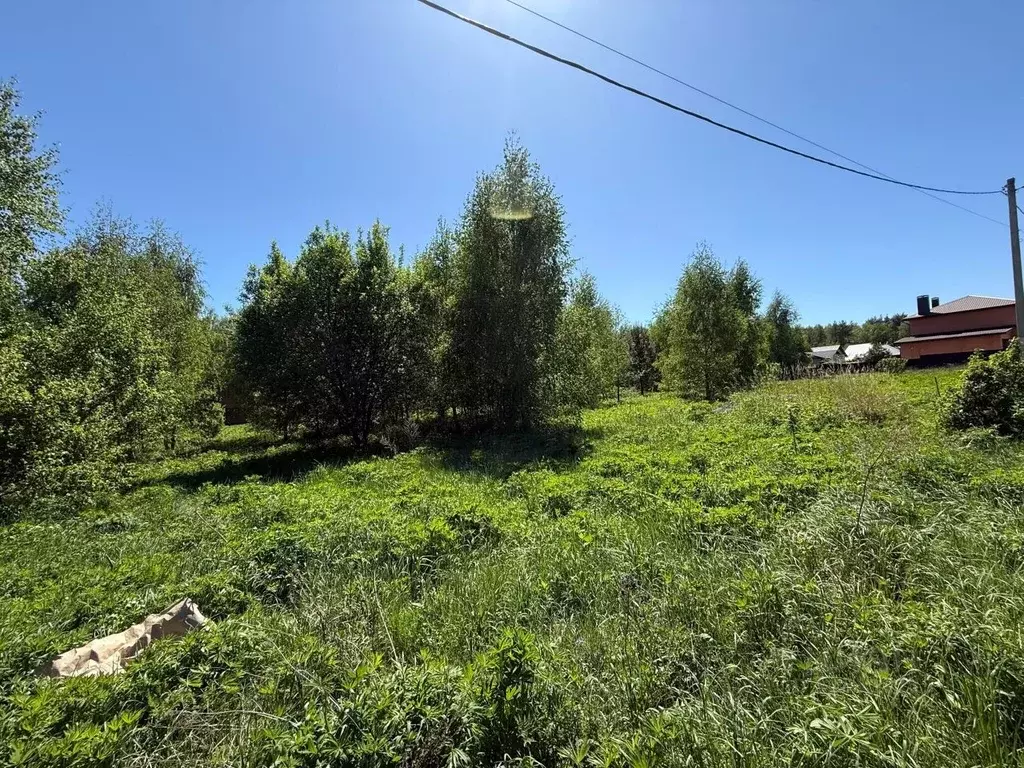 Участок в Владимирская область, Владимир д. Никулино, проезд 3-й ... - Фото 1
