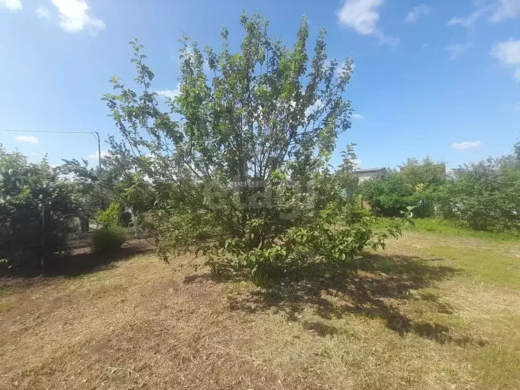 Участок в Оренбургская область, Оренбургский район, Нежинский ... - Фото 1