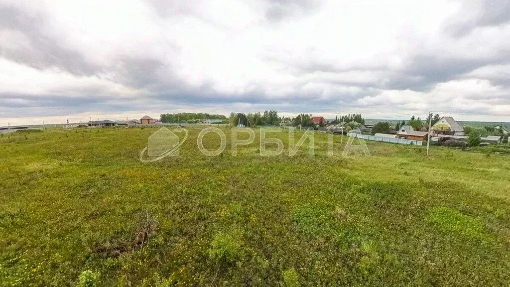 Участок в Тюменская область, Тюменский район, д. Насекина Центральная ... - Фото 1