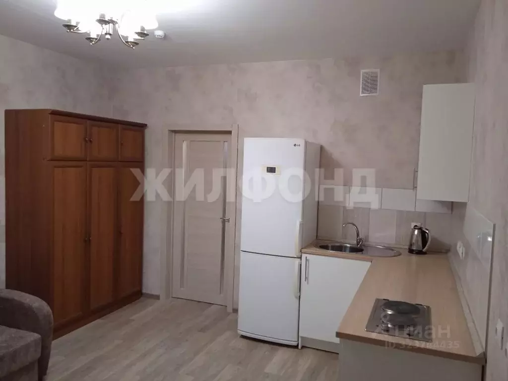 Студия Новосибирская область, Новосибирск ул. Писарева, 125 (33.0 м) - Фото 2