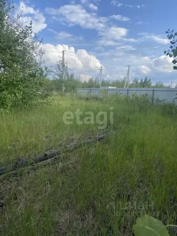 Участок в Воронежская область, Рамонский район, Новоживотинновское ... - Фото 1